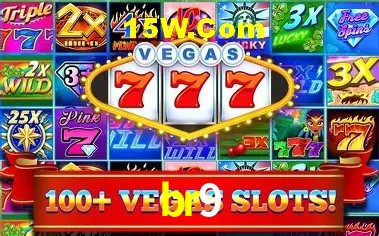 br9 Salvador - Support