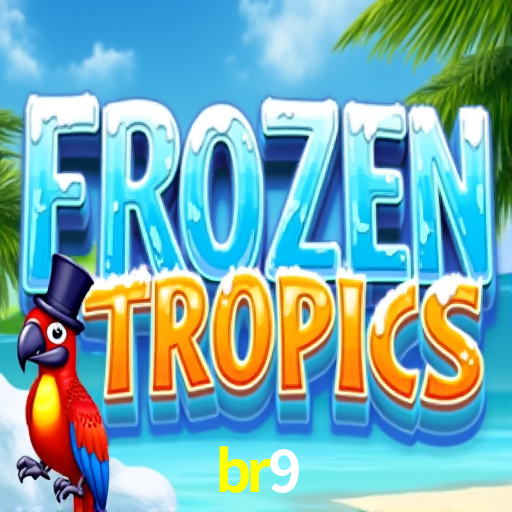 Experiência VIP br9