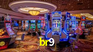 Premium Interface br9